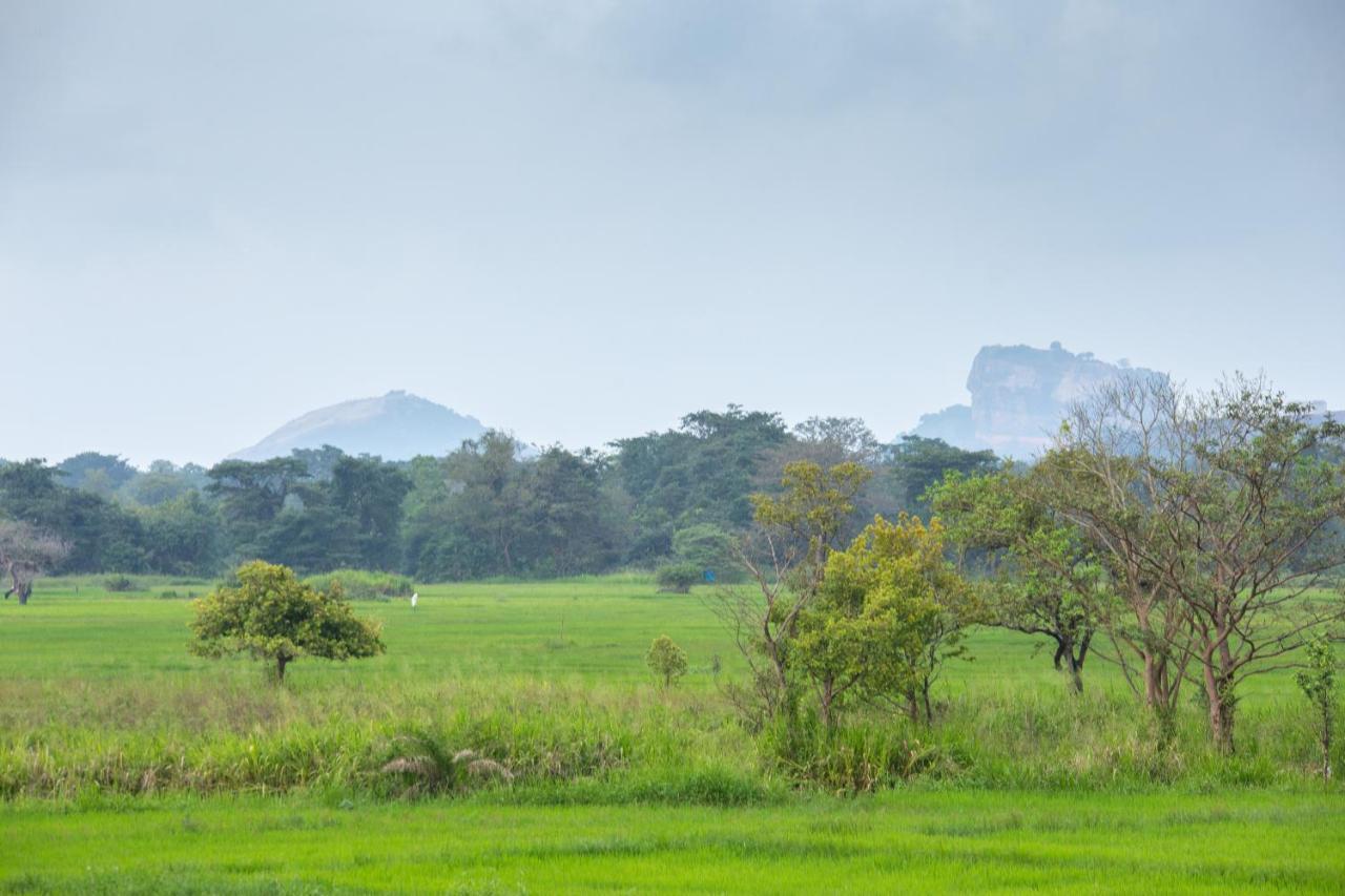 The Hideout Sigiriya Villa Dış mekan fotoğraf