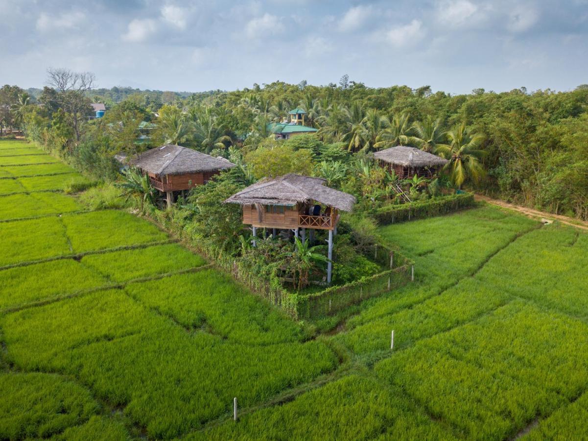 The Hideout Sigiriya Villa Dış mekan fotoğraf