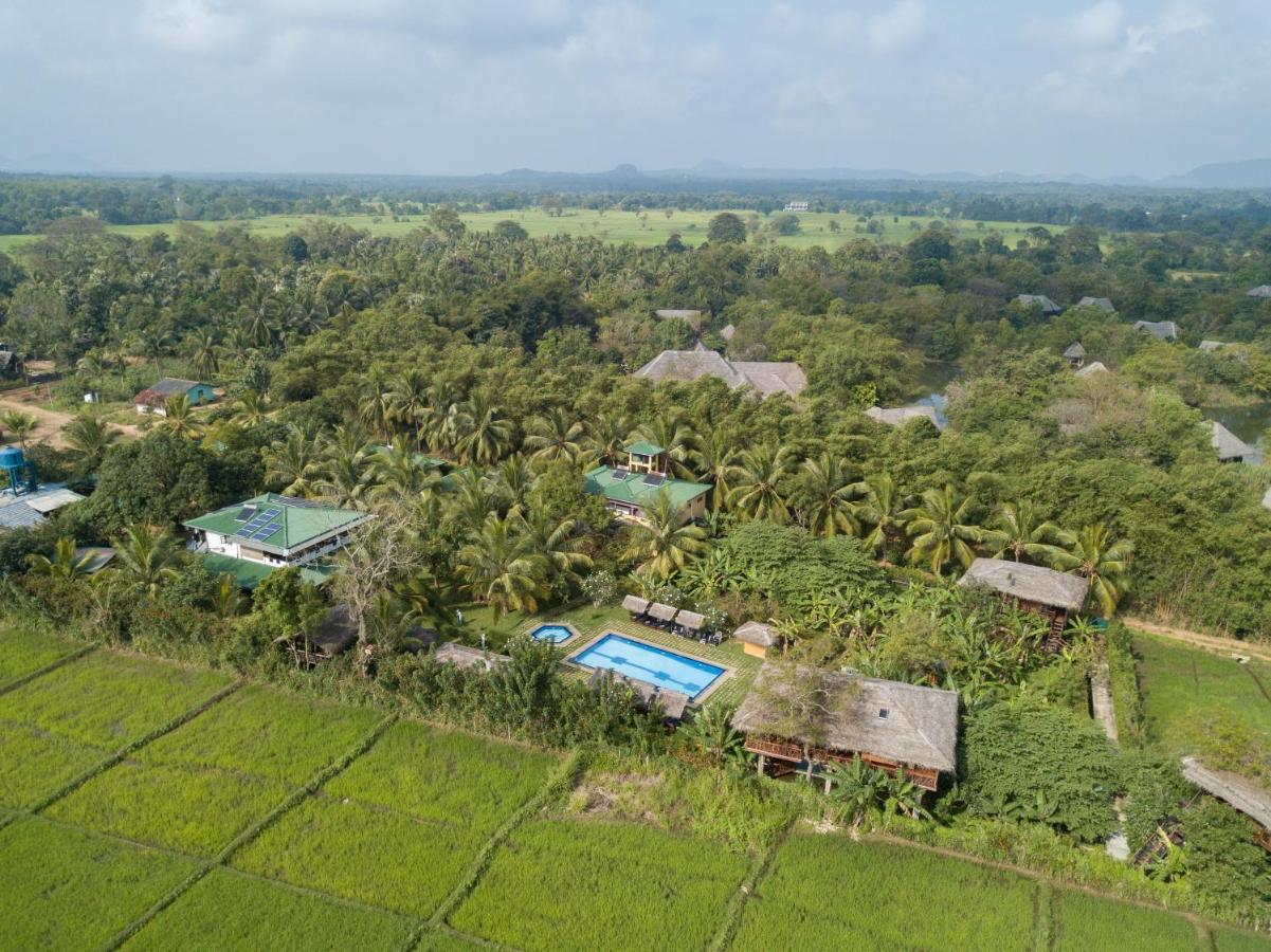 The Hideout Sigiriya Villa Dış mekan fotoğraf